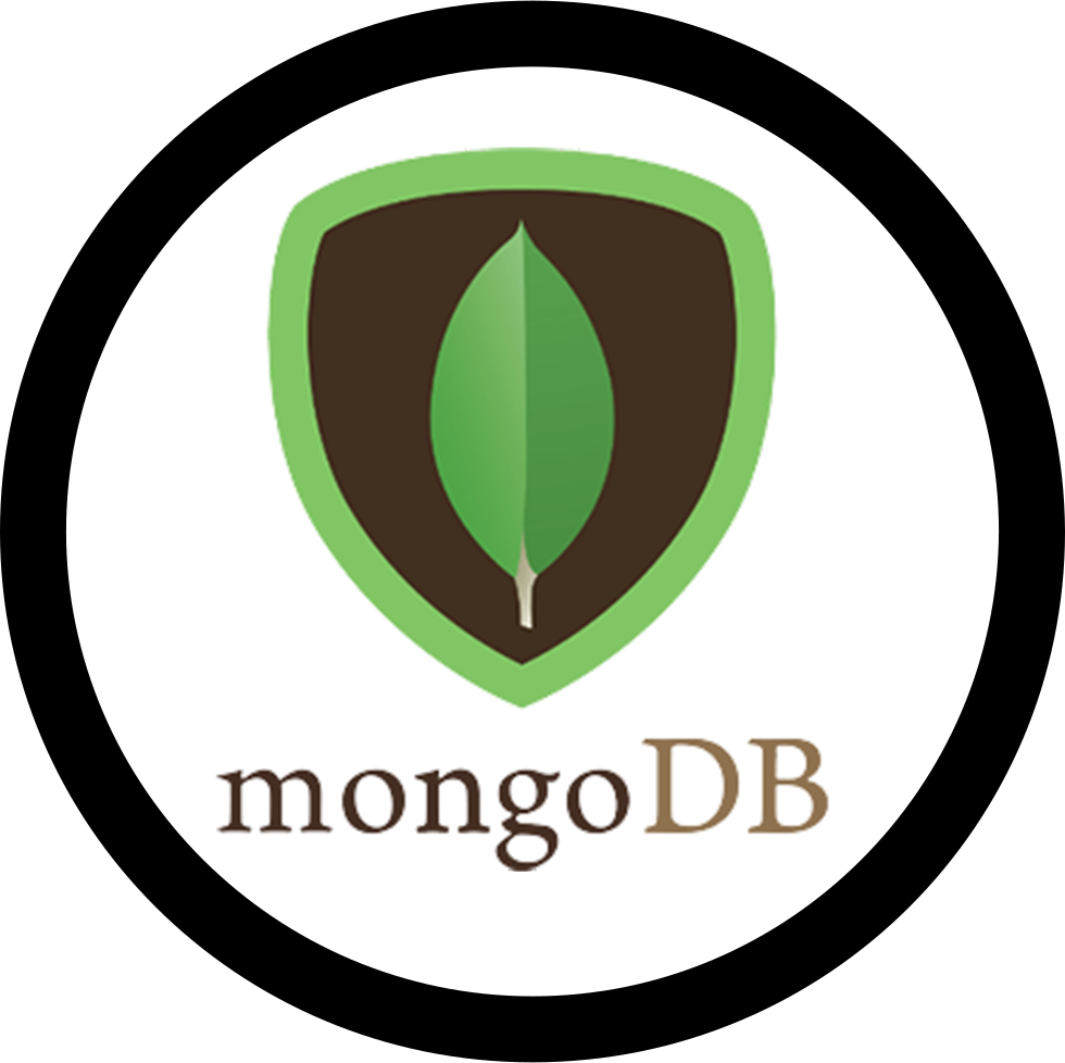 Mongo DB